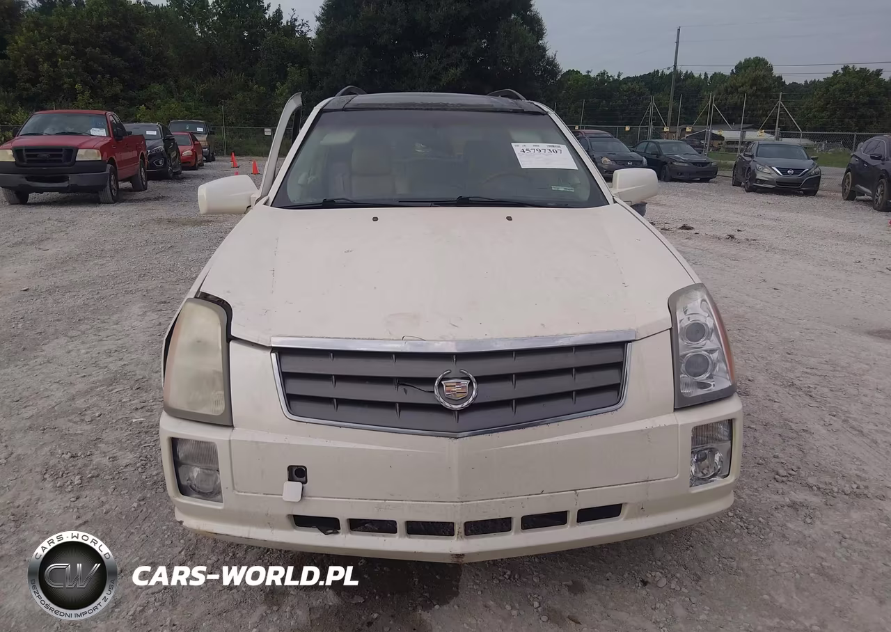 2004 Cadillac Srx V8 VIN:1GYDE63A340154826 - 12