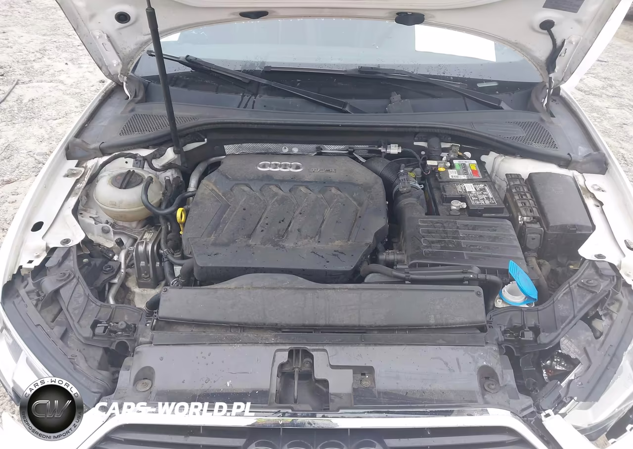 2017 Audi A3 Premium VIN:WAUAUGFF5H1039148 - 10