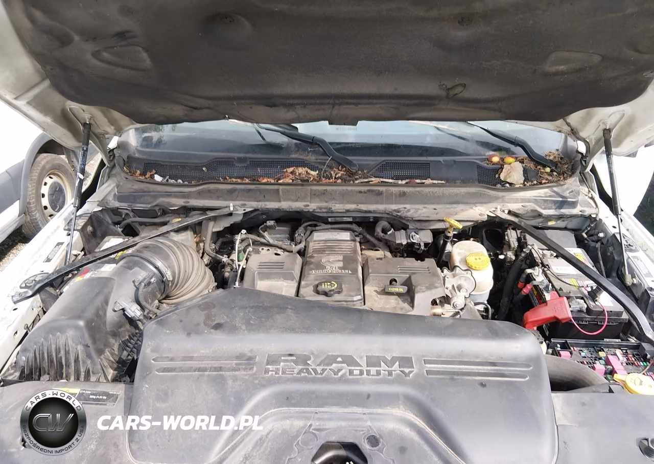 2024 Ram 3500 VIN:3C63RRGL1RG109929 - 10