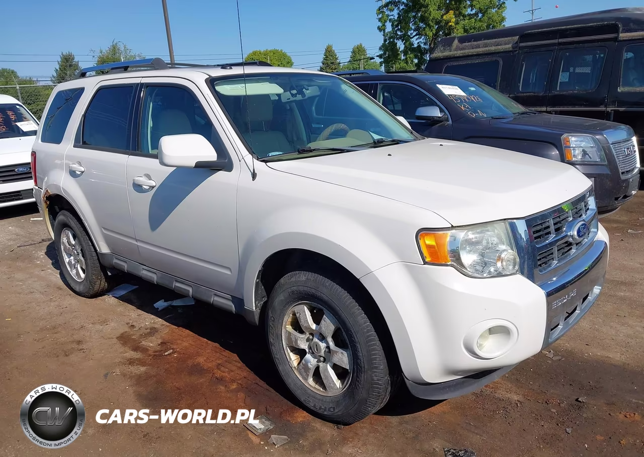 2010 Ford Escape Limited