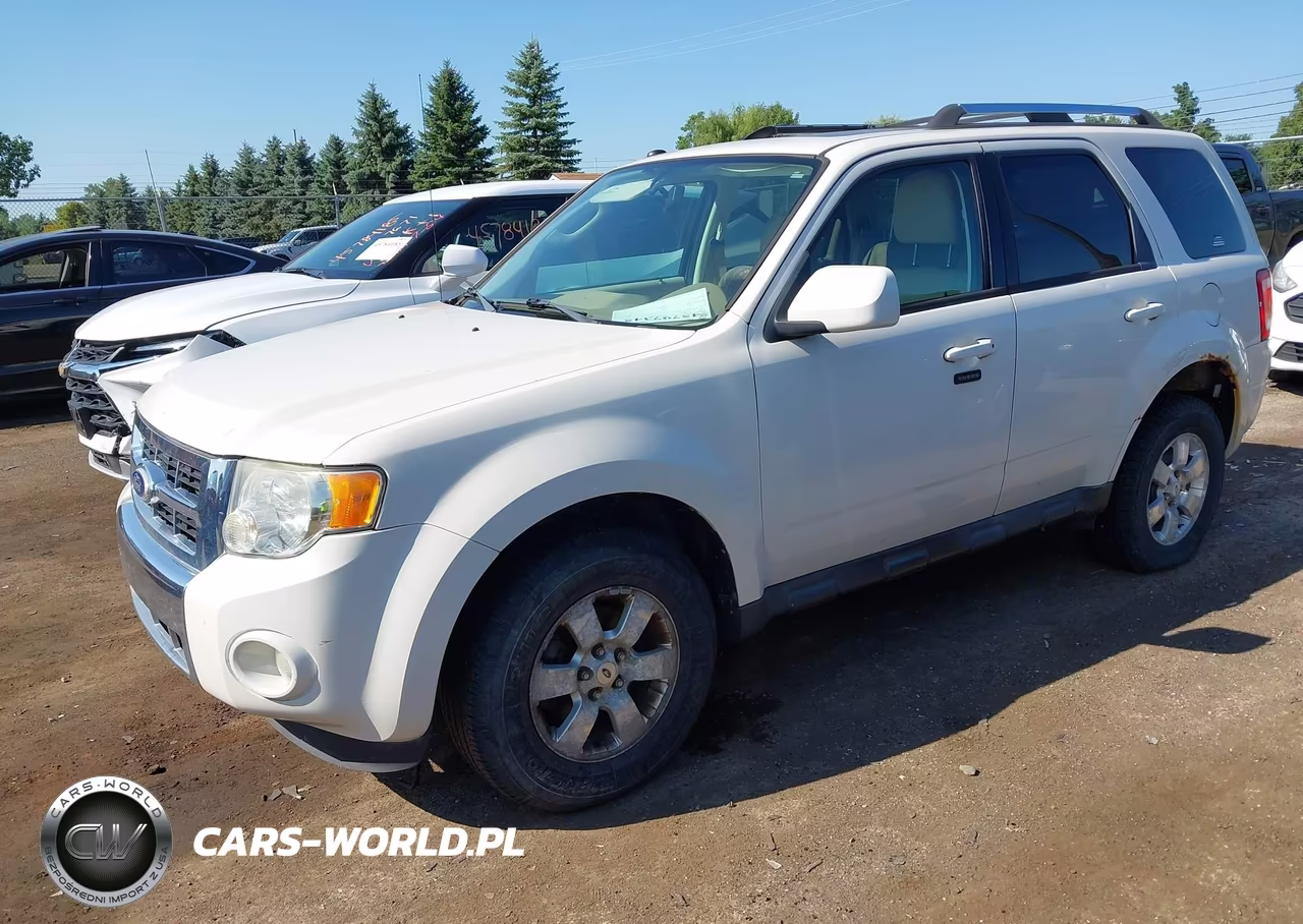 2010 Ford Escape Limited VIN:1FMCU0E78AKC71770 - 2