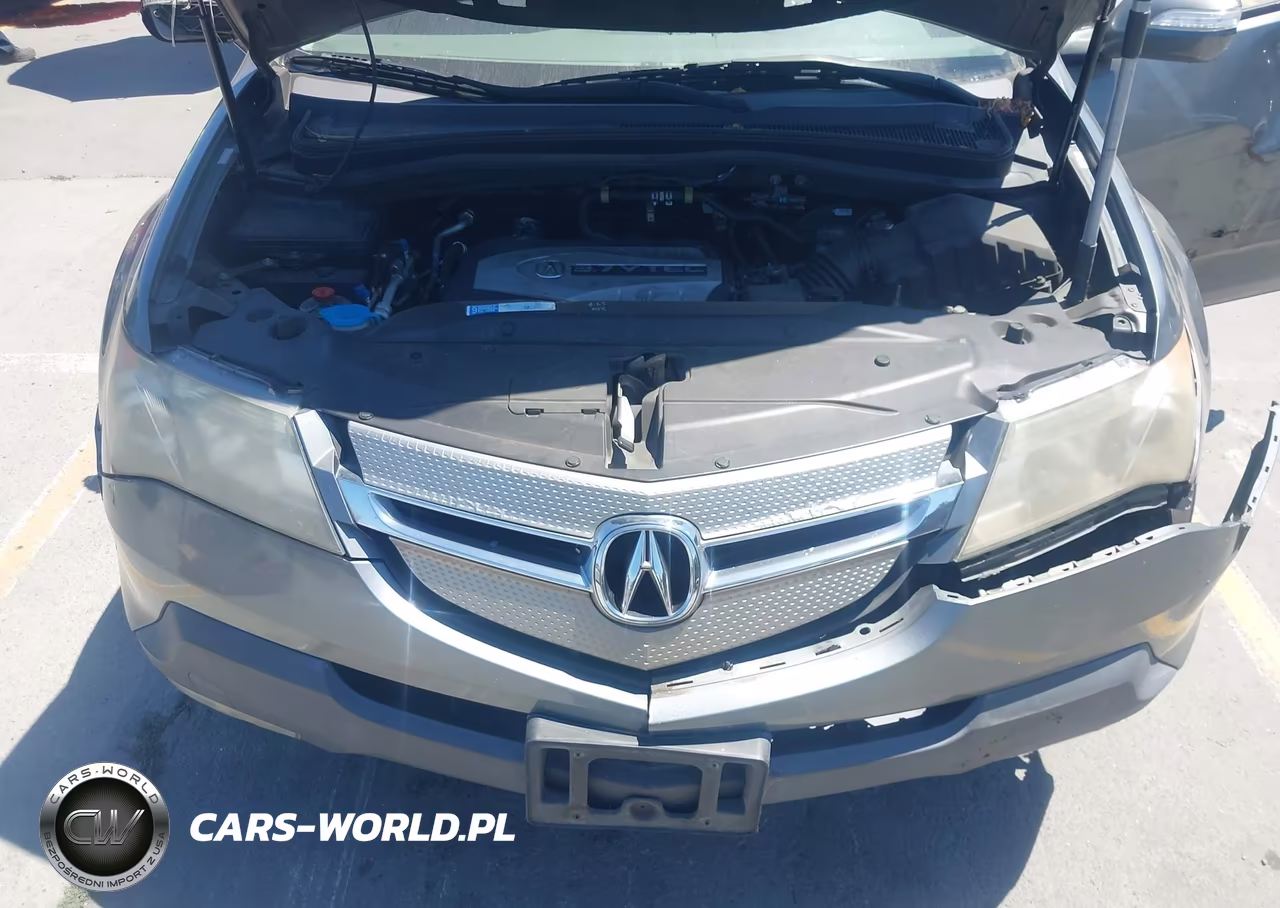 2009 Acura Mdx Technology Package VIN:2HNYD28489H500484 - 10