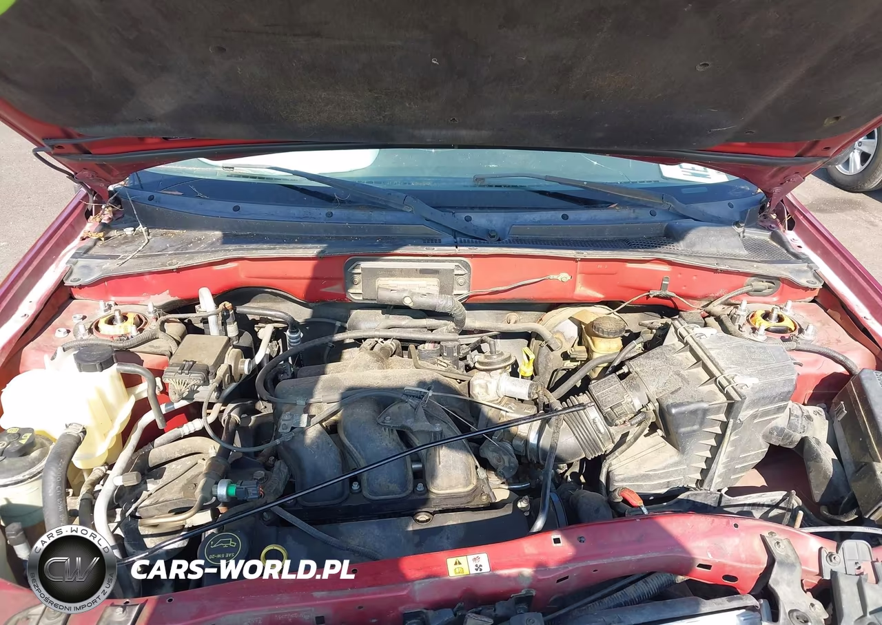 2004 Ford Escape Xls VIN:1FMYU021X4KA97064 - 10