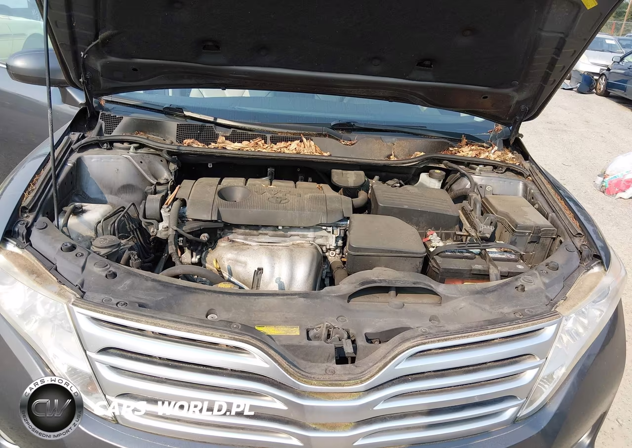 2011 Toyota Venza VIN:4T3BA3BB6BU024047 - 10