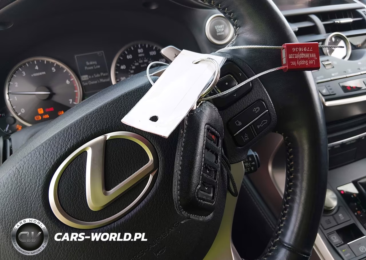2020 Lexus Nx 300 VIN:JTJAARBZ8L5009325 - 11