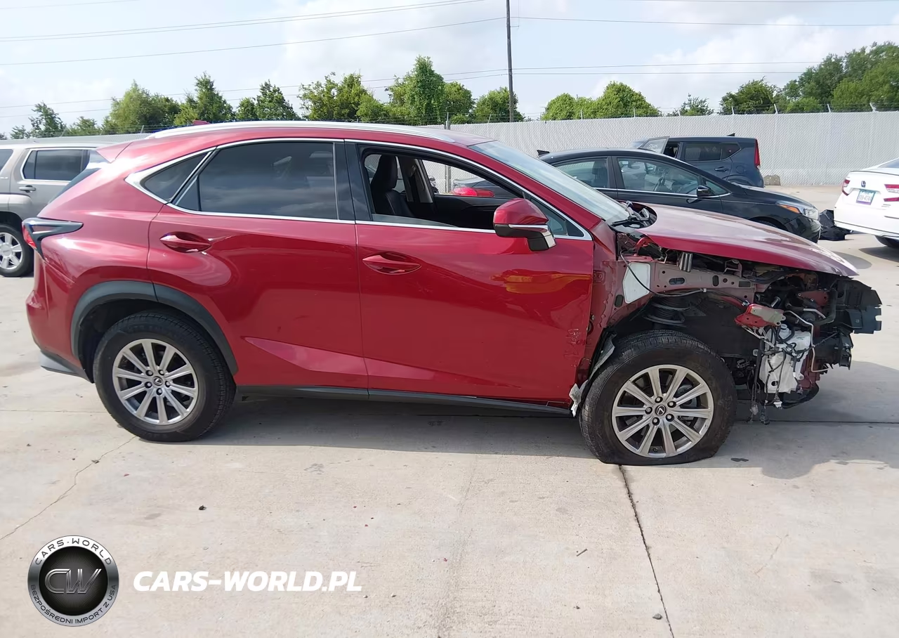 2020 Lexus Nx 300 VIN:JTJAARBZ8L5009325 - 13