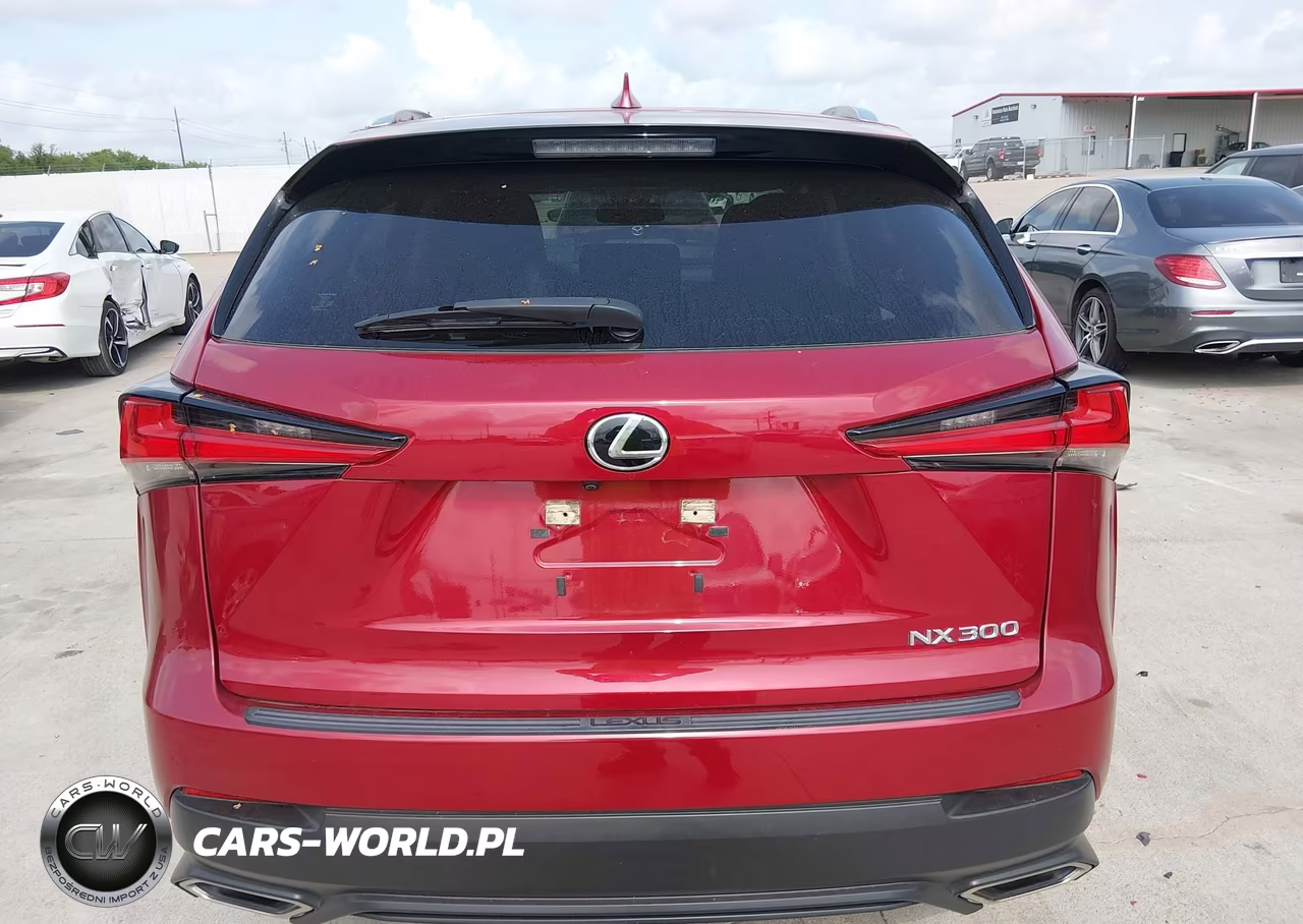 2020 Lexus Nx 300 VIN:JTJAARBZ8L5009325 - 16