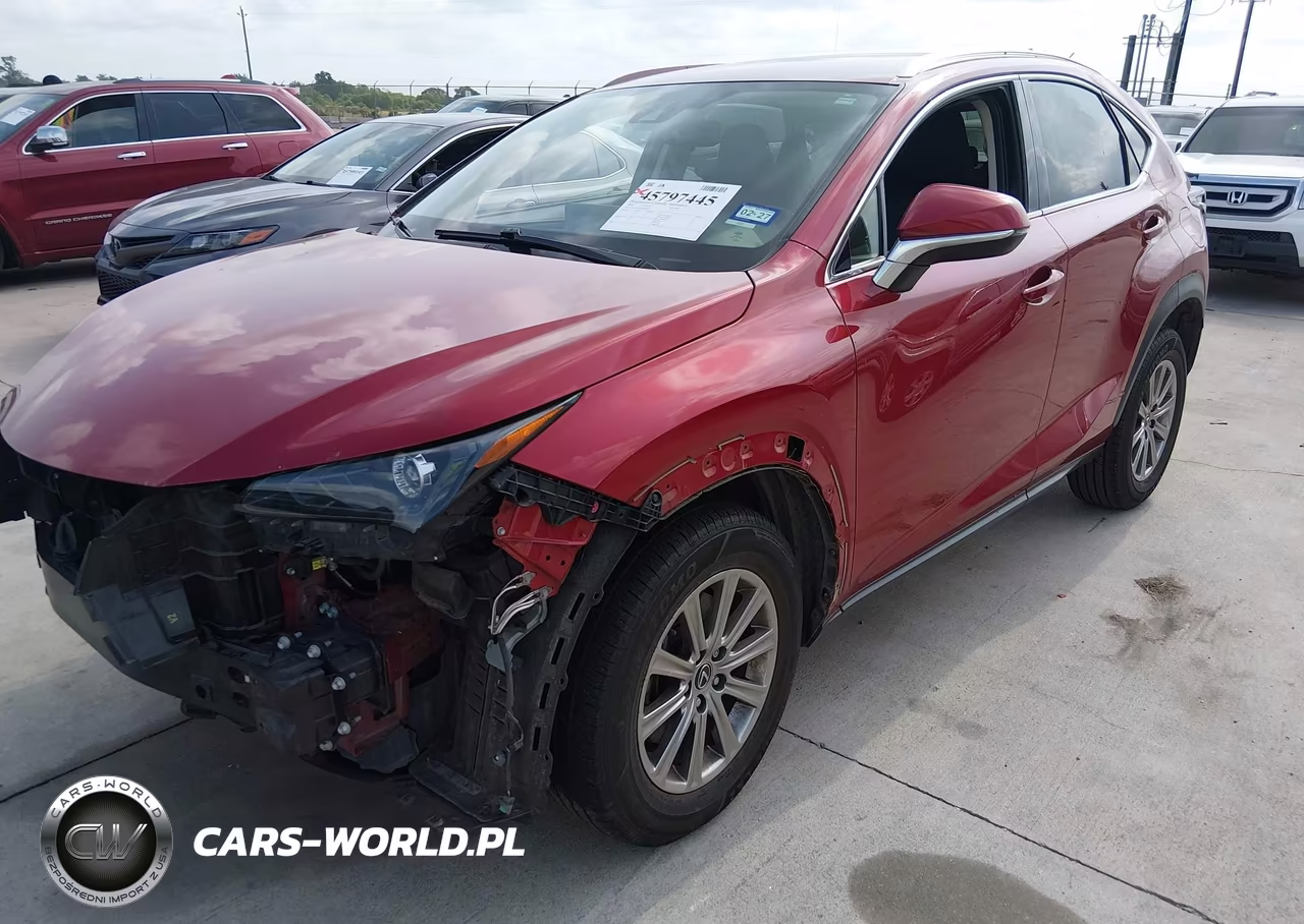 2020 Lexus Nx 300 VIN:JTJAARBZ8L5009325 - 2