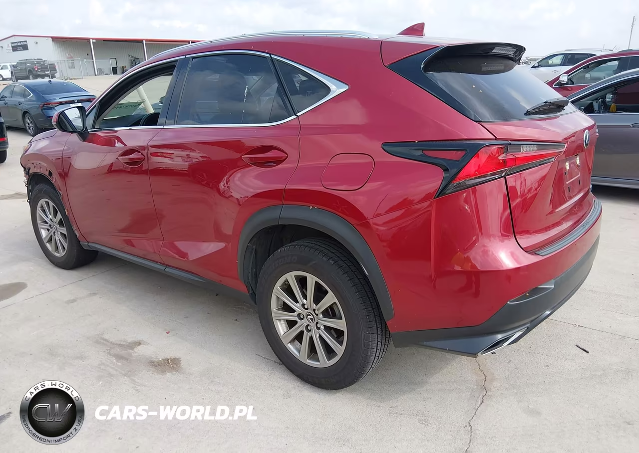 2020 Lexus Nx 300 VIN:JTJAARBZ8L5009325 - 3