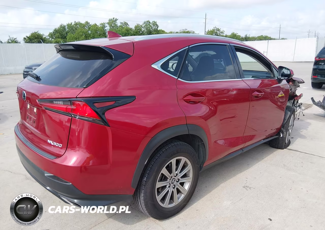 2020 Lexus Nx 300 VIN:JTJAARBZ8L5009325 - 4