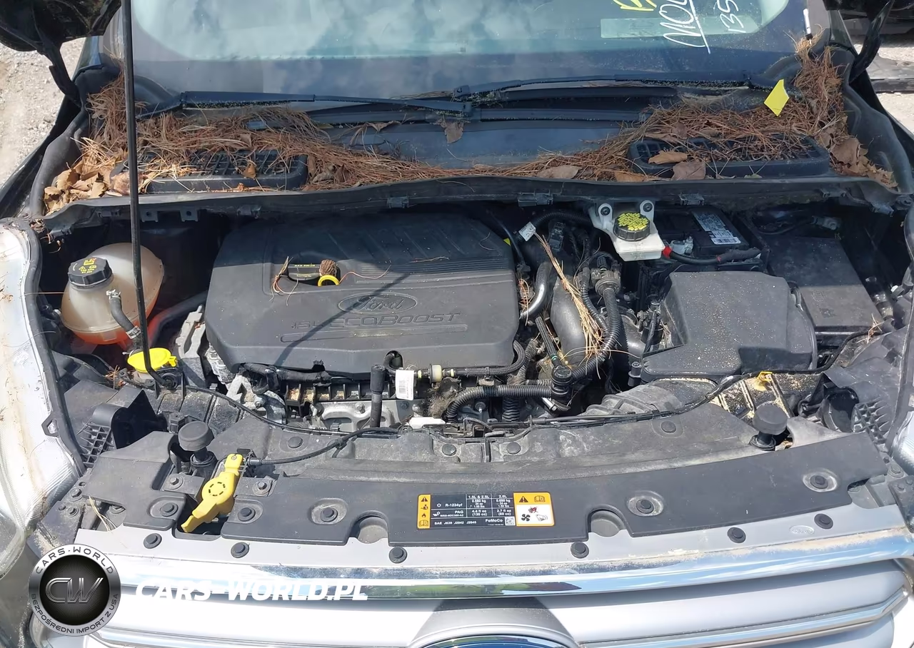 2017 Ford Escape Se VIN:1FMCU0GD9HUB51686 - 10