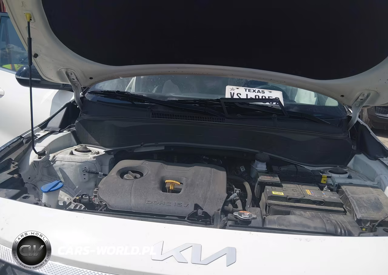 2024 Kia Seltos S VIN:KNDEU2AA5R7666658 - 10