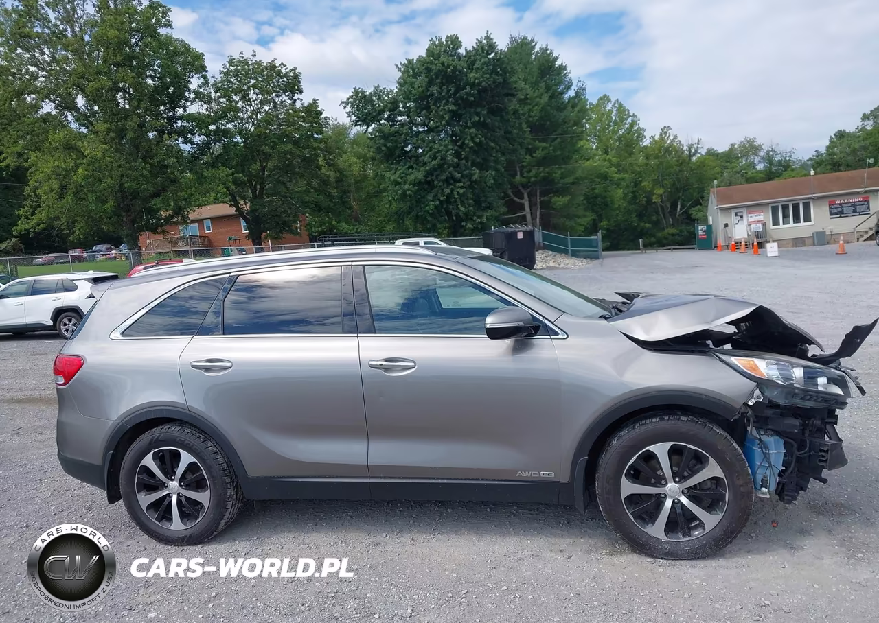 2017 Kia Sorento 3.3L Ex VIN:5XYPHDA57HG310600 - 14