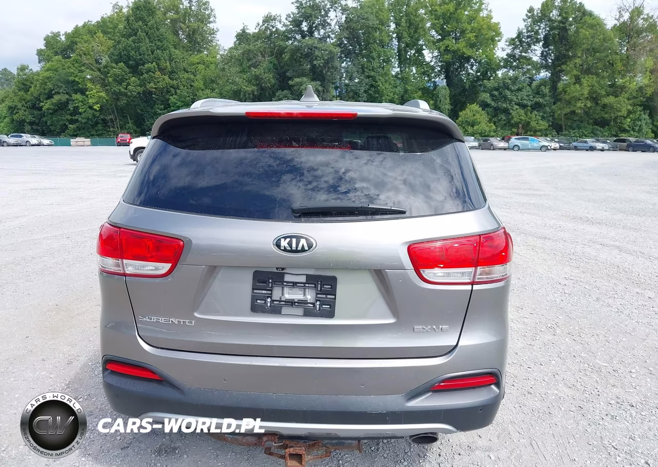 2017 Kia Sorento 3.3L Ex VIN:5XYPHDA57HG310600 - 17