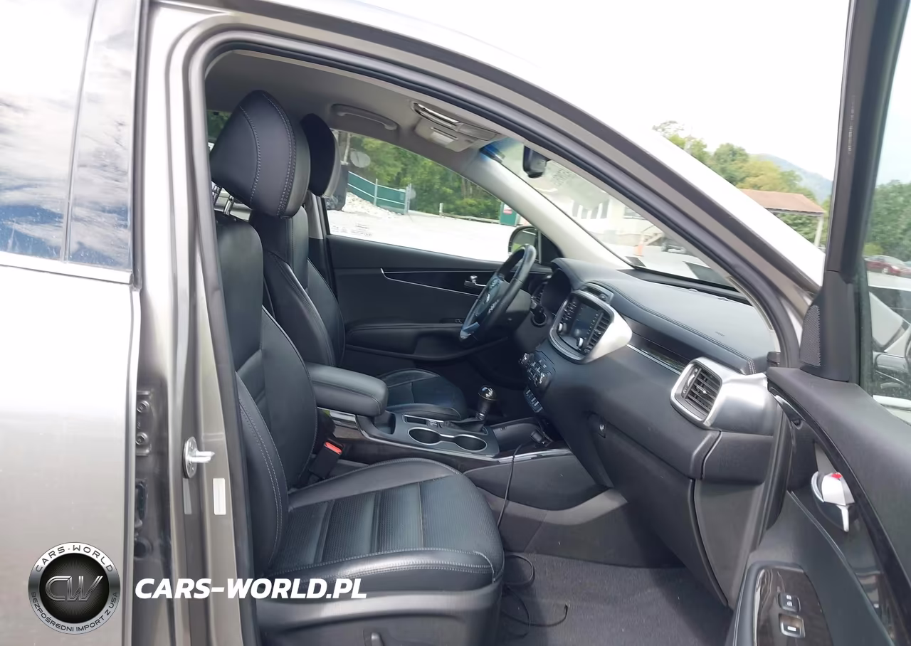 2017 Kia Sorento 3.3L Ex VIN:5XYPHDA57HG310600 - 5