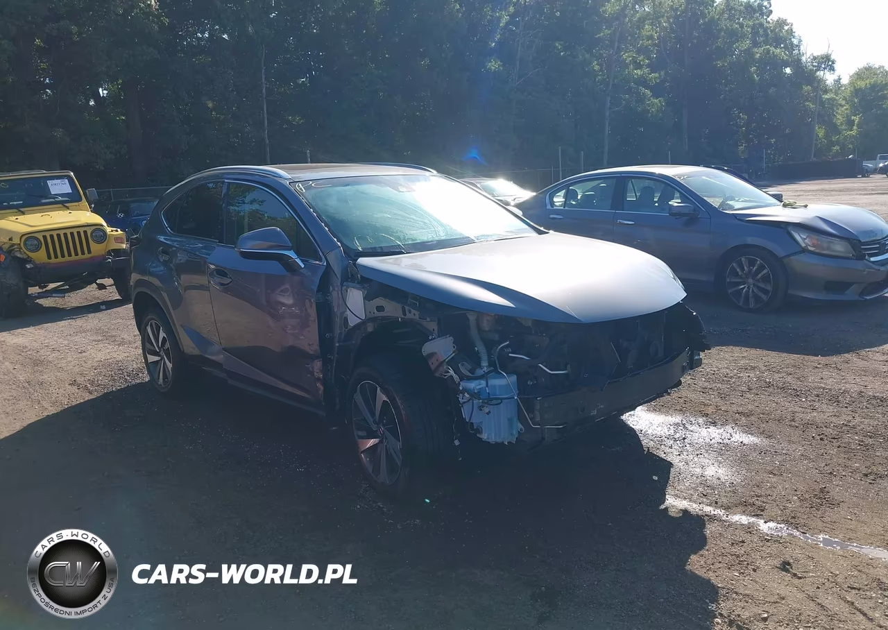2018 Lexus Nx 300 – zdjęcie 1 z 17