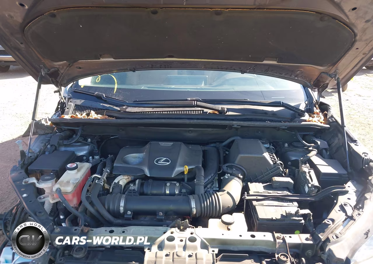 2018 Lexus Nx 300 VIN:JTJBARBZ5J2151246 - 10