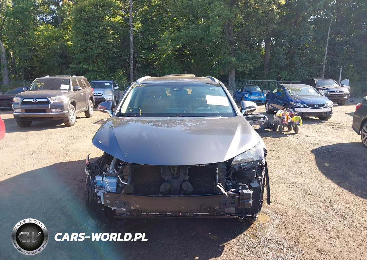 2018 Lexus Nx 300 VIN:JTJBARBZ5J2151246 - 13