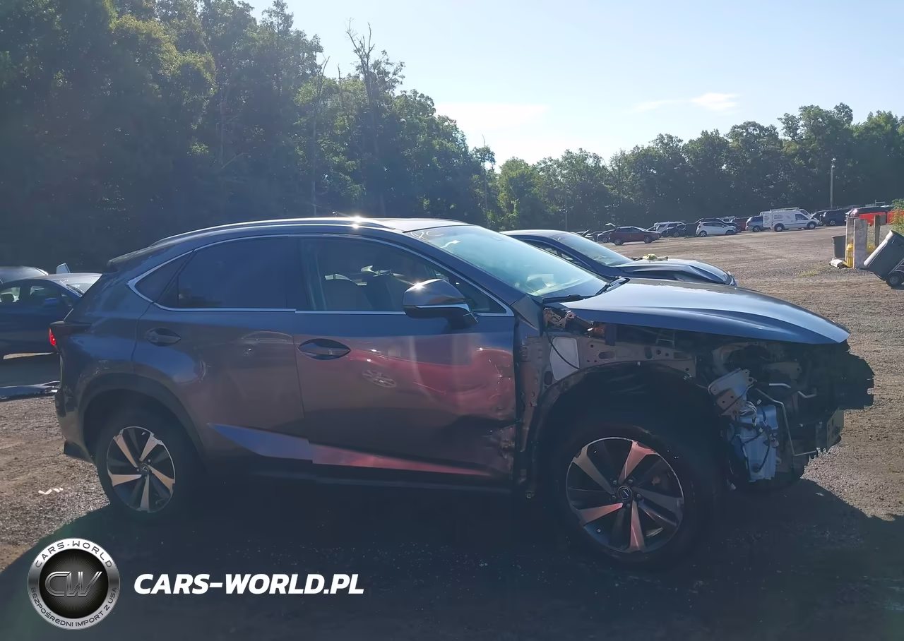 2018 Lexus Nx 300 VIN:JTJBARBZ5J2151246 - 14
