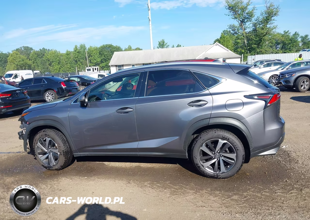2018 Lexus Nx 300 VIN:JTJBARBZ5J2151246 - 15