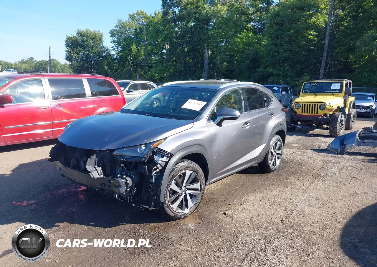 2018 Lexus Nx 300 VIN:JTJBARBZ5J2151246 - 2
