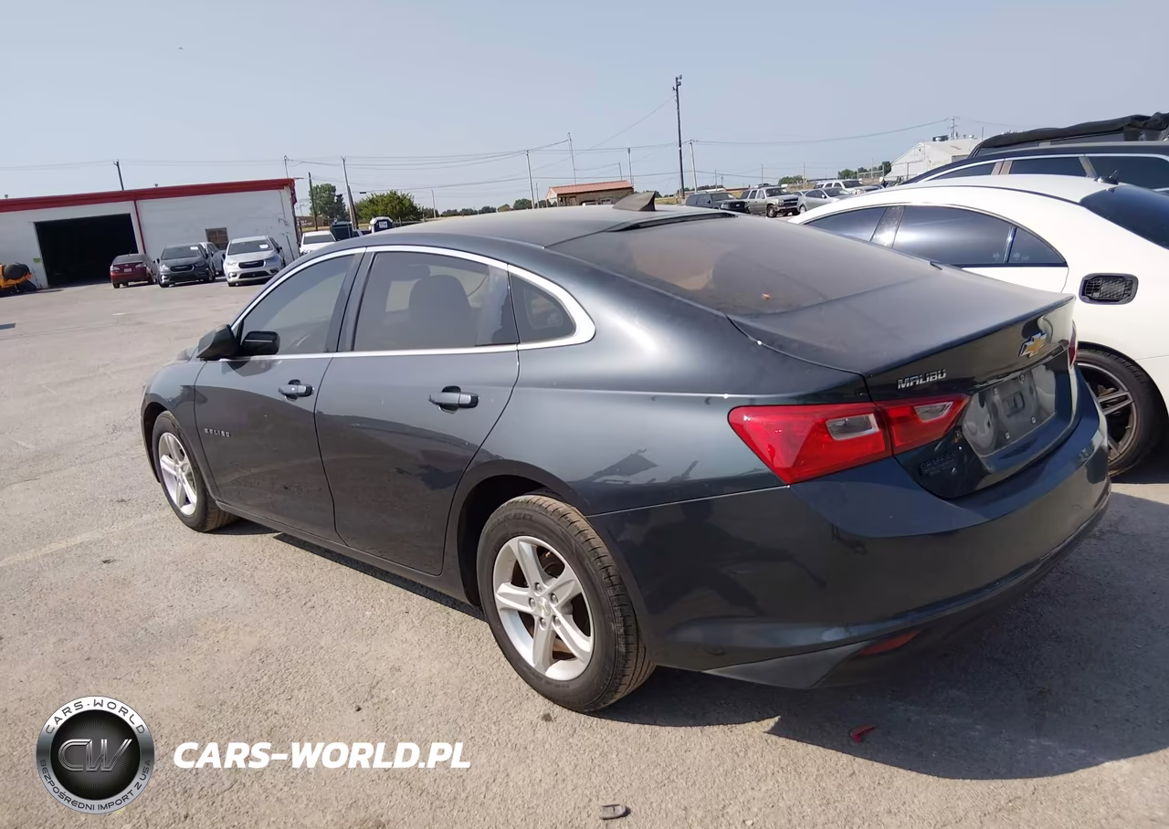 2019 Chevrolet Malibu 1Ls VIN:1G1ZB5ST0KF126955 - 3