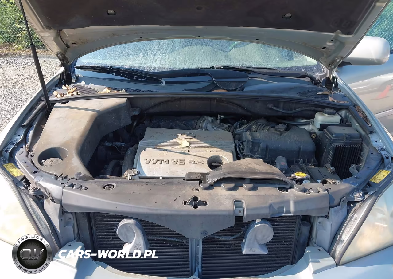 2005 Lexus Rx 330 VIN:2T2GA31U95C038396 - 10