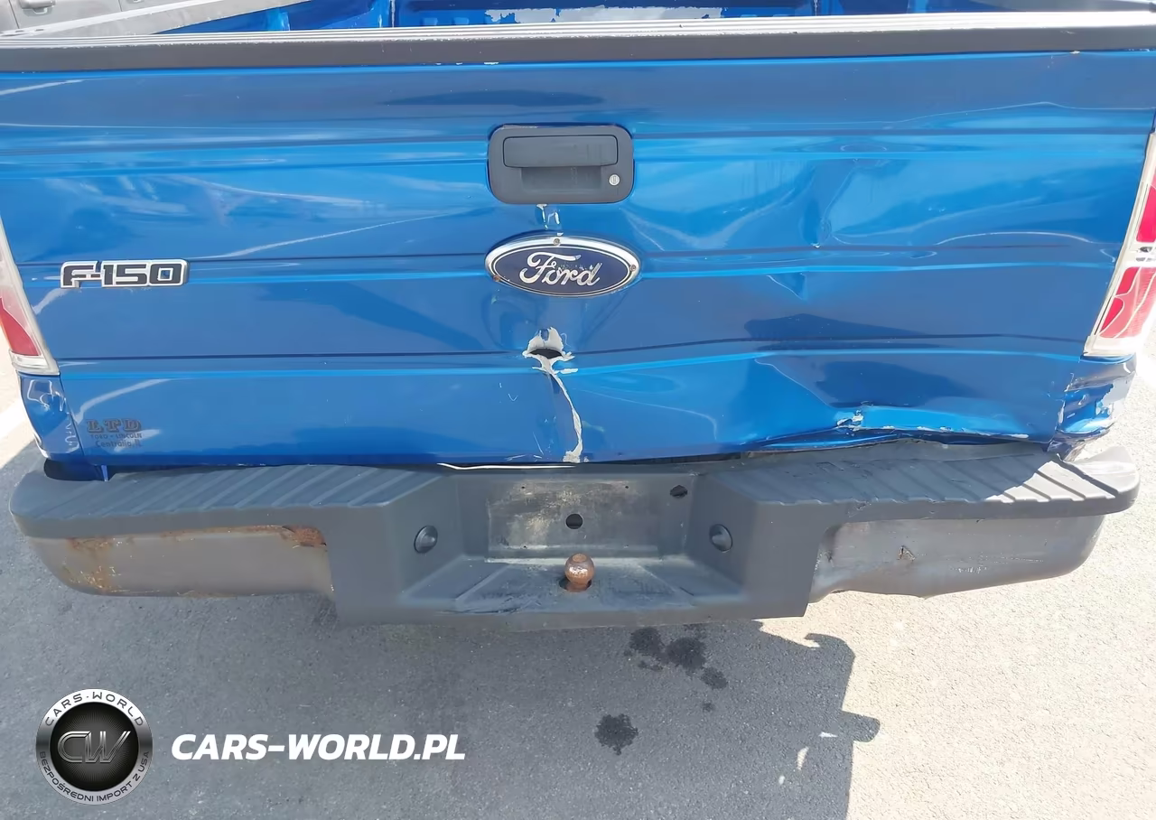 2010 Ford F-150 Stx-Xl-Xl W-Mid-Box Prep-Xlt-Xlt W-Mid-Box Prep VIN:1FTMF1CW3AKB22850 - 6
