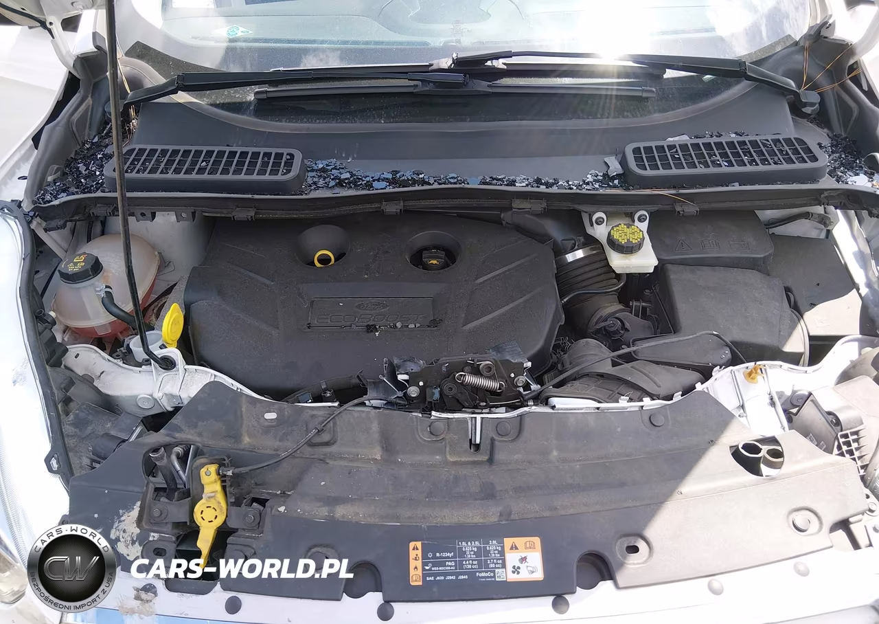 2019 Ford Escape Titanium VIN:1FMCU9J91KUA28190 - 10