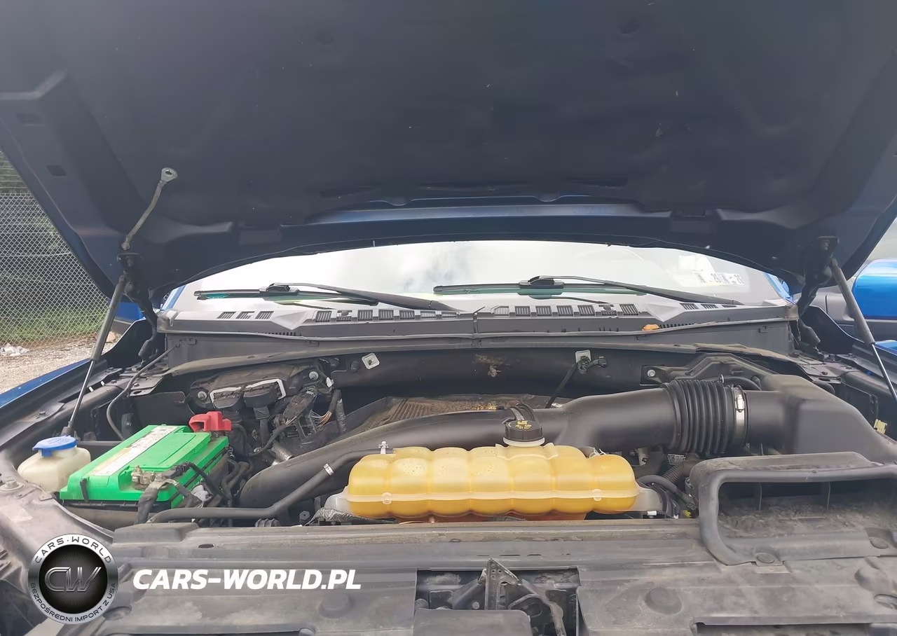 2018 Ford F-150 Raptor VIN:1FTFW1RG7JFD93718 - 10