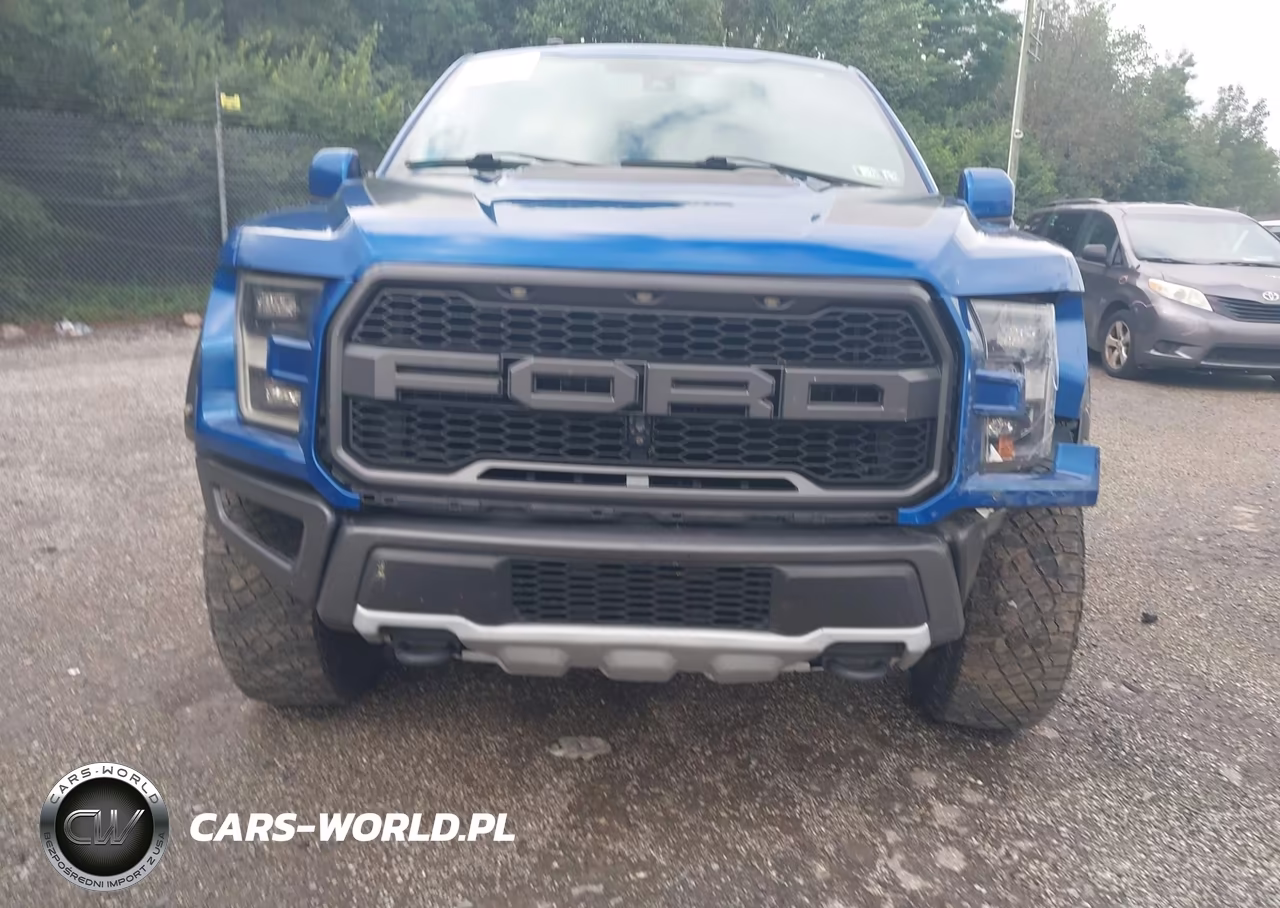 2018 Ford F-150 Raptor VIN:1FTFW1RG7JFD93718 - 13