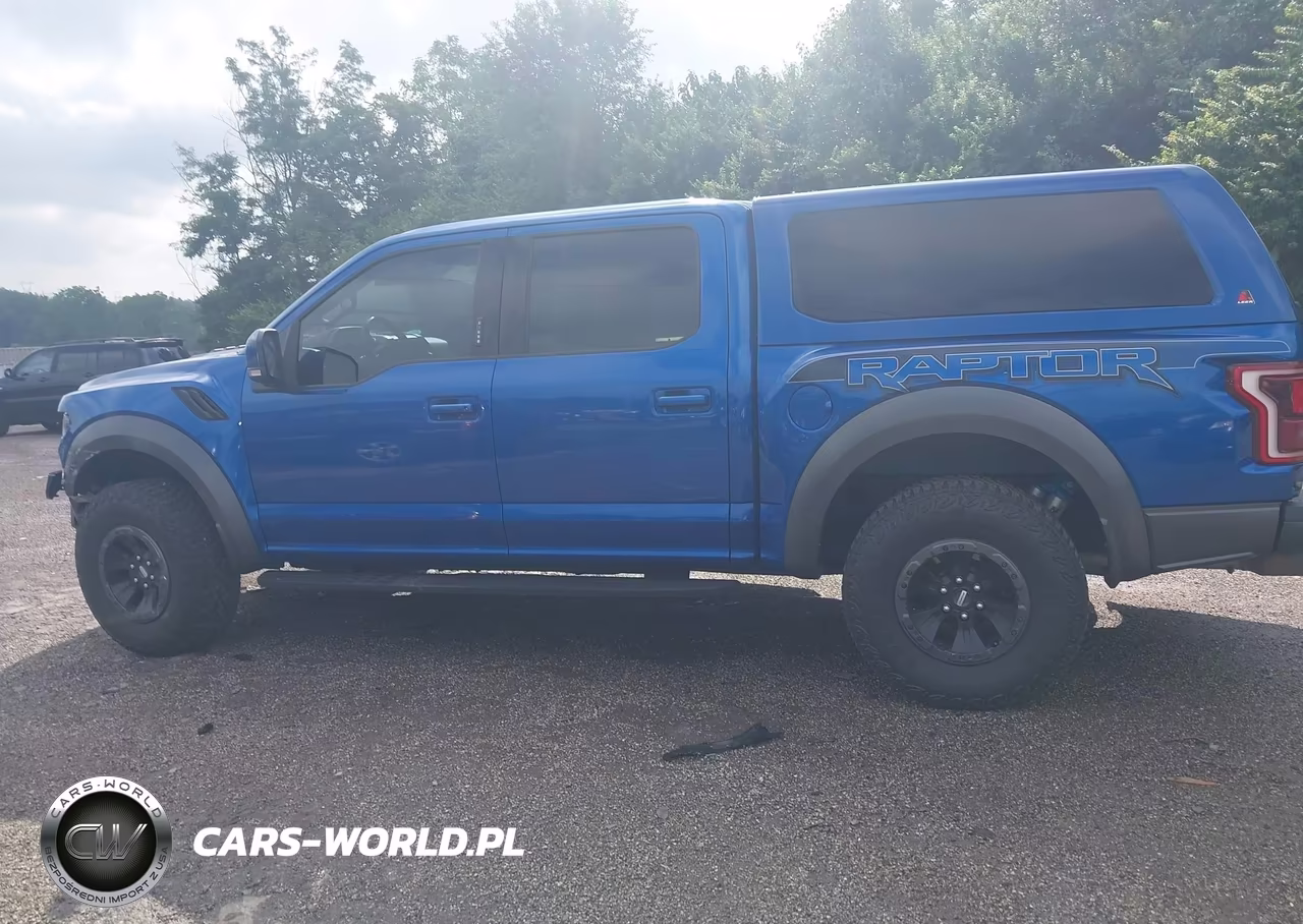 2018 Ford F-150 Raptor VIN:1FTFW1RG7JFD93718 - 15