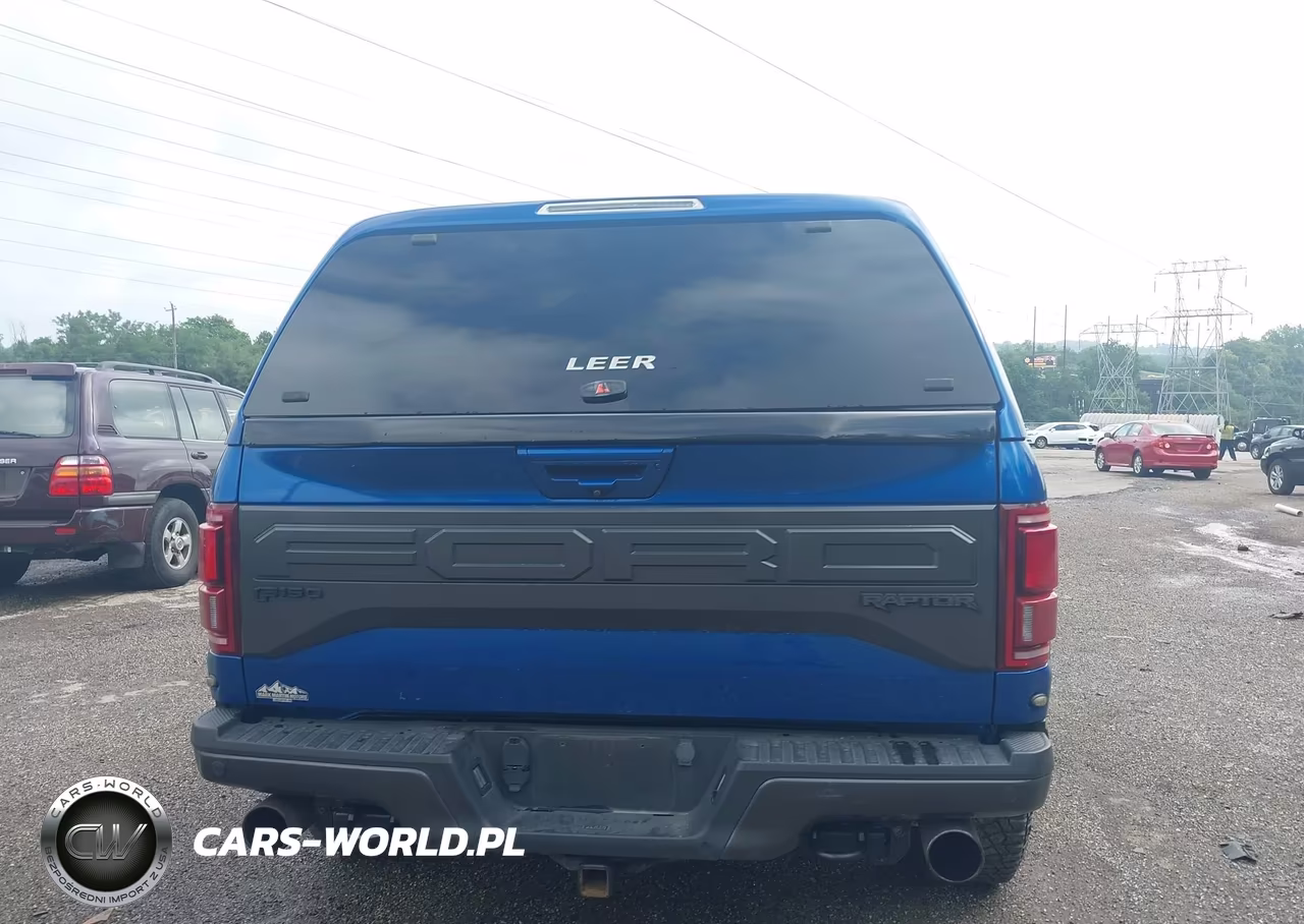 2018 Ford F-150 Raptor VIN:1FTFW1RG7JFD93718 - 17