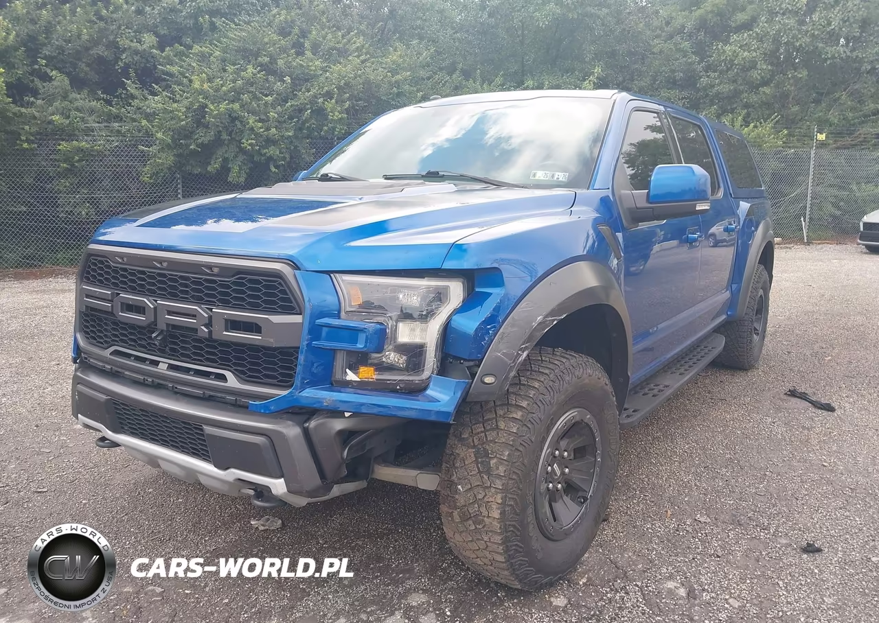 2018 Ford F-150 Raptor VIN:1FTFW1RG7JFD93718 - 2