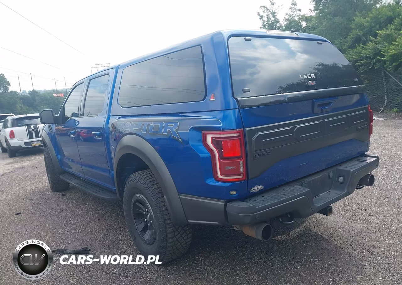 2018 Ford F-150 Raptor VIN:1FTFW1RG7JFD93718 - 3