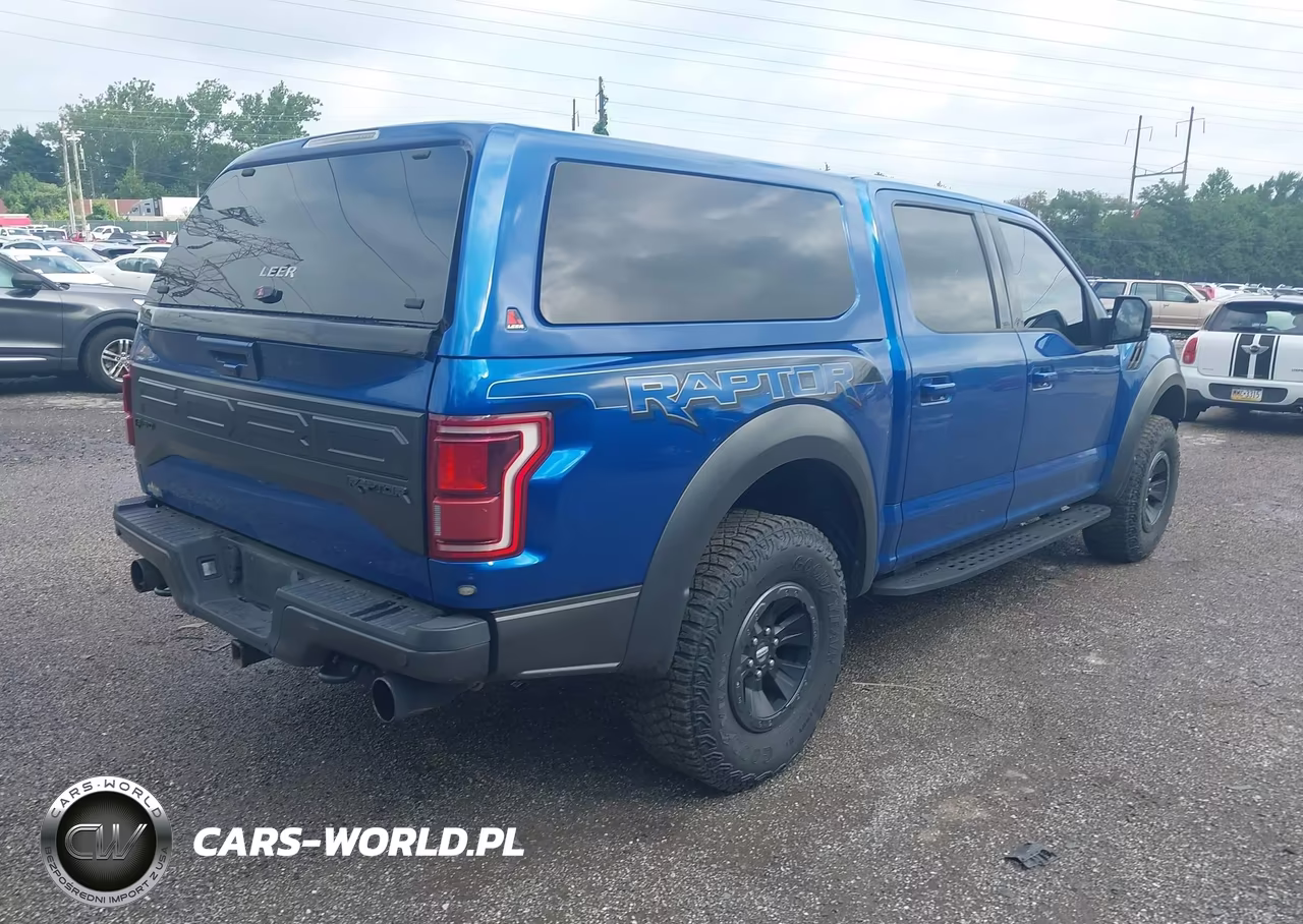2018 Ford F-150 Raptor VIN:1FTFW1RG7JFD93718 - 4