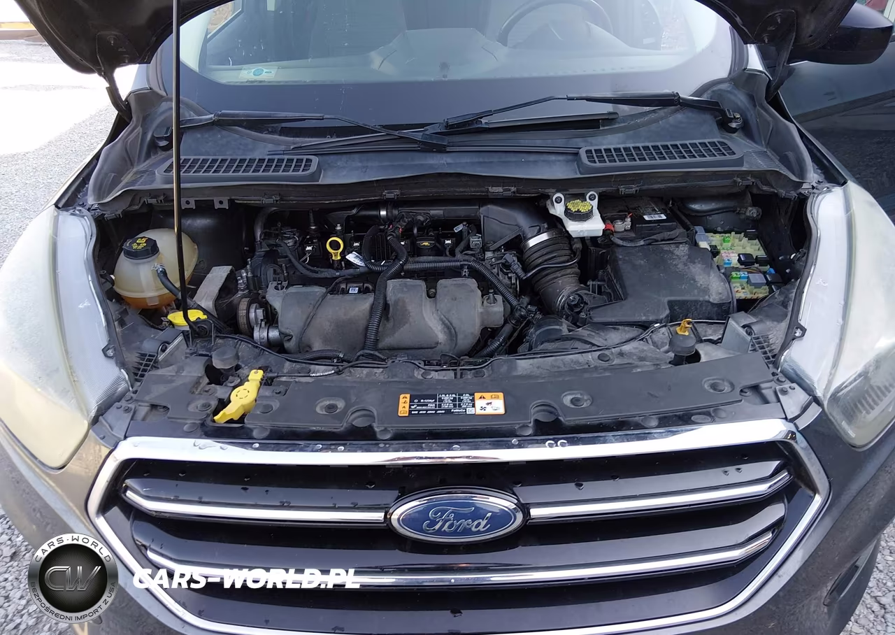 2017 Ford Escape Se VIN:1FMCU0G93HUA11886 - 10