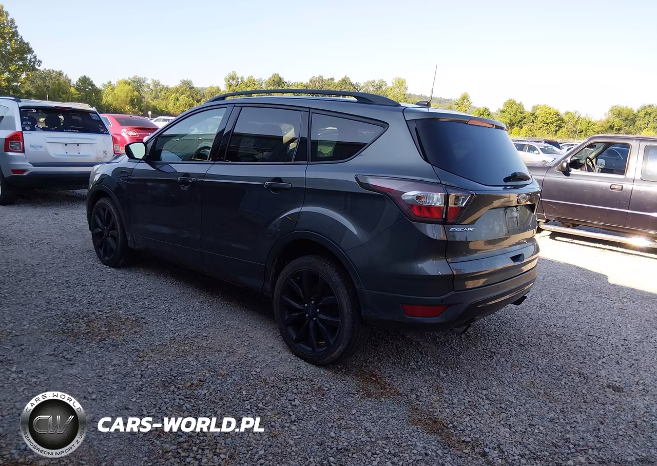 2017 Ford Escape Se VIN:1FMCU0G93HUA11886 - 3