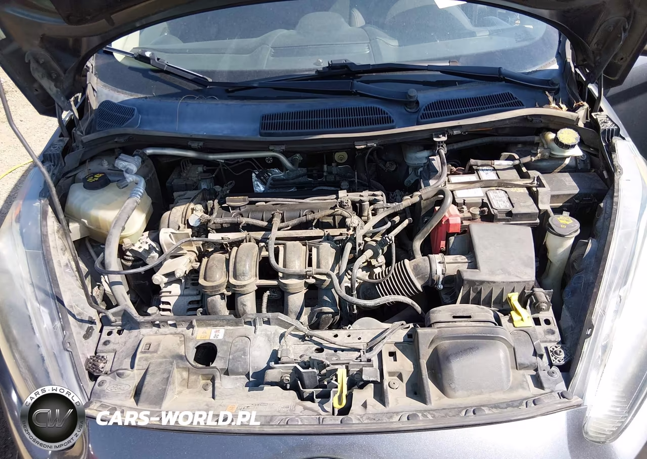 2016 Ford Fiesta Se VIN:3FADP4BJ5GM106919 - 10