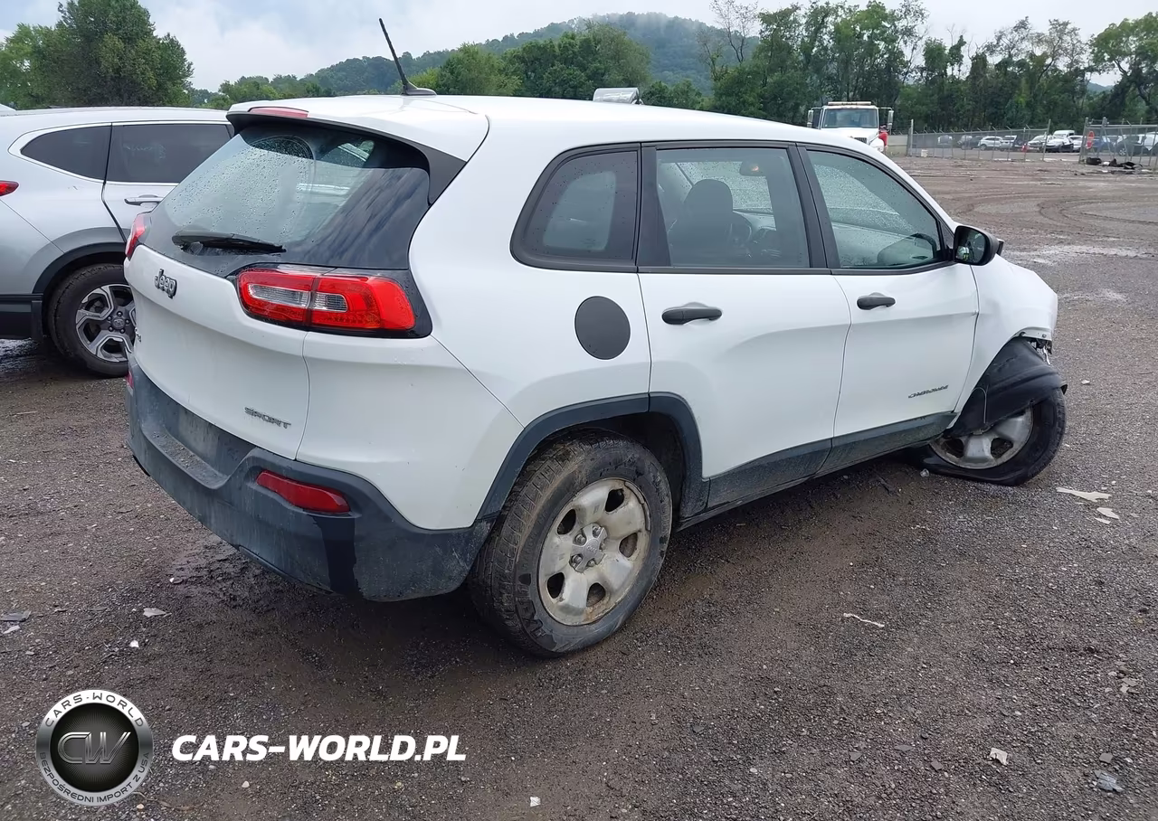2014 Jeep Cherokee Sport VIN:1C4PJMAB2EW140901 - 4
