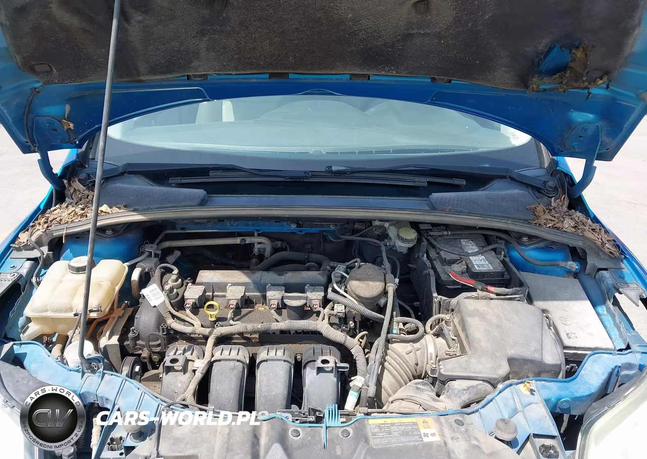 2013 Ford Focus Se VIN:1FADP3F26DL137901 - 10