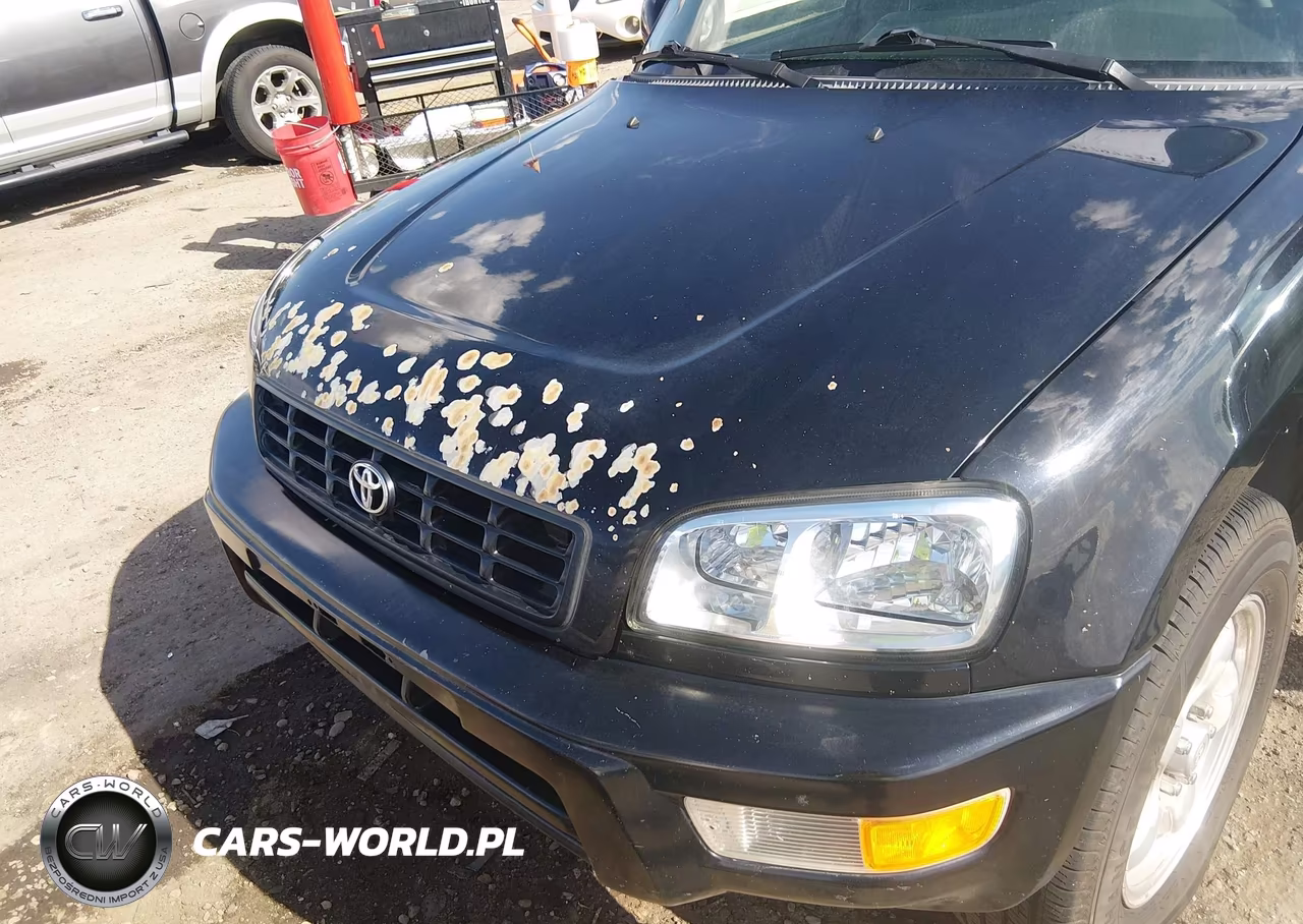 1999 Toyota Rav4 VIN:JT3HP10VXX7148789 - 6