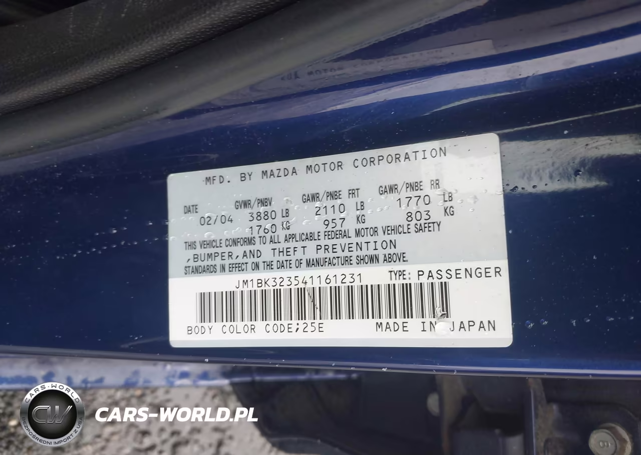 2004 Mazda Mazda3 S VIN:JM1BK323541161231 - 9