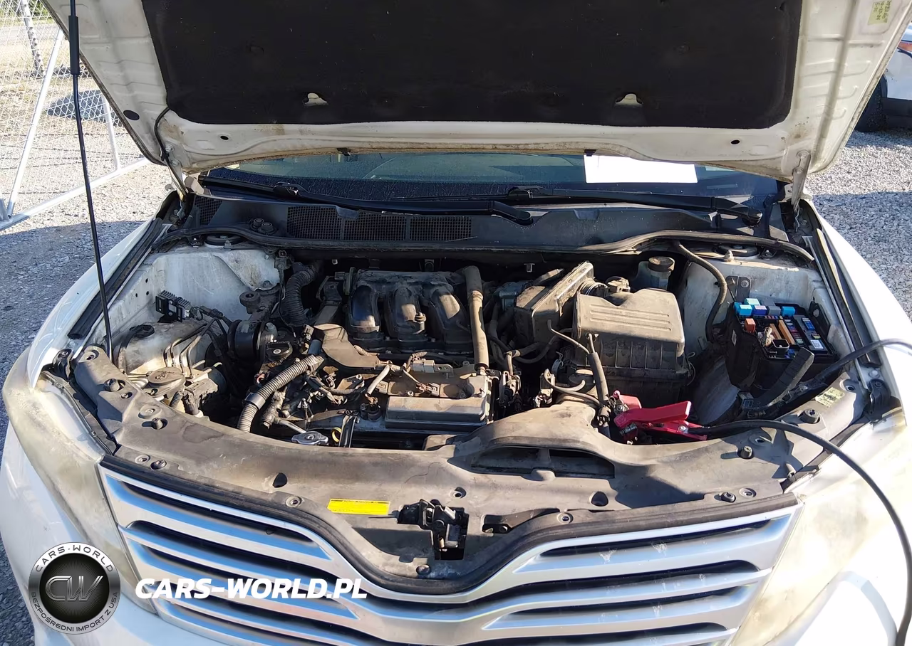 2009 Toyota Venza Base V6 VIN:4T3ZK11A09U019266 - 10