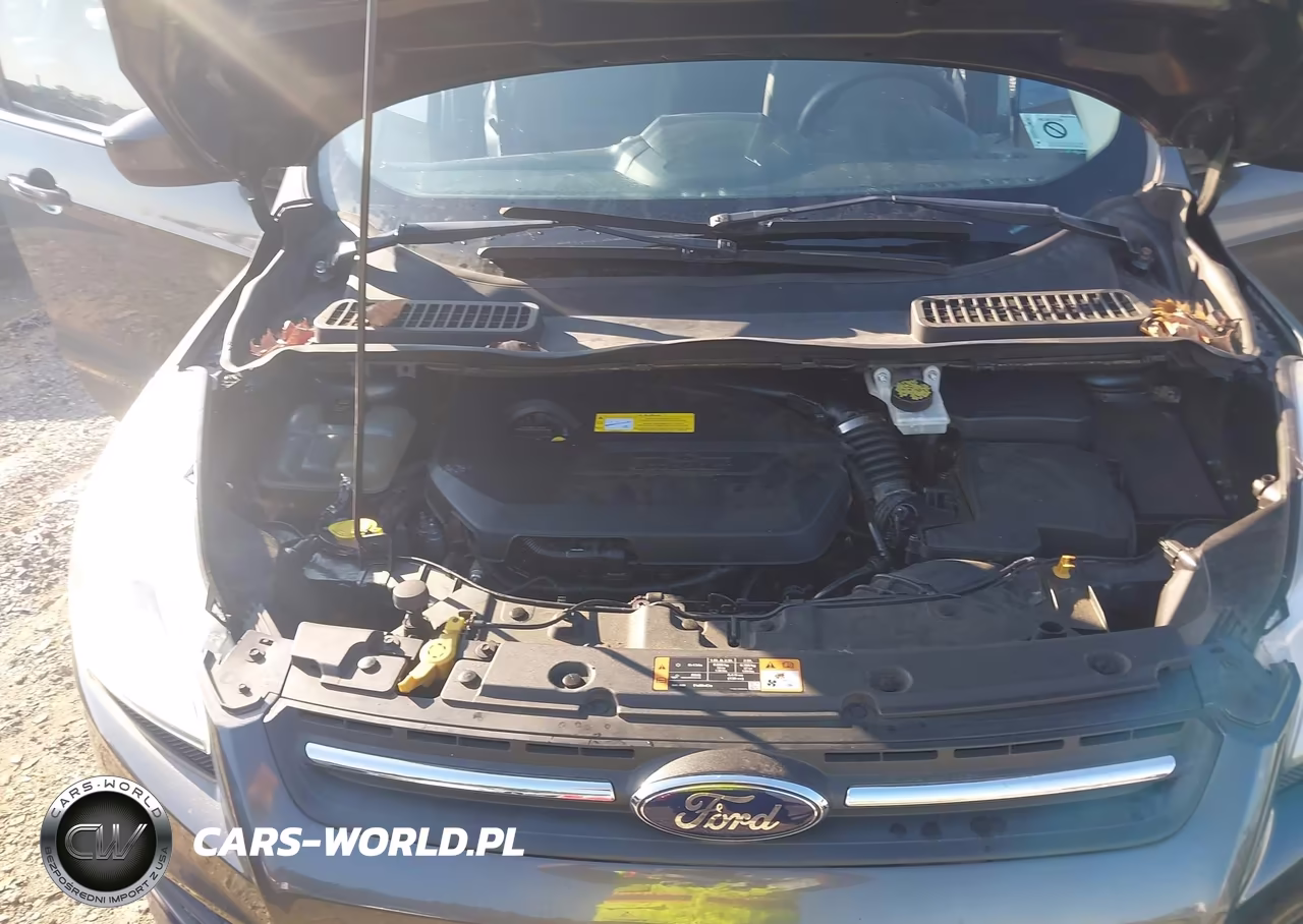 2016 Ford Escape Se VIN:1FMCU9GX4GUC33838 - 10