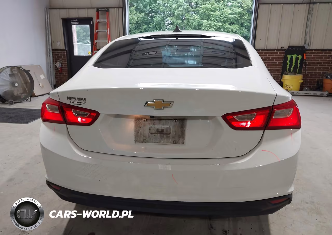 2020 Chevrolet Malibu Fwd Ls VIN:1G1ZB5ST5LF028523 - 17
