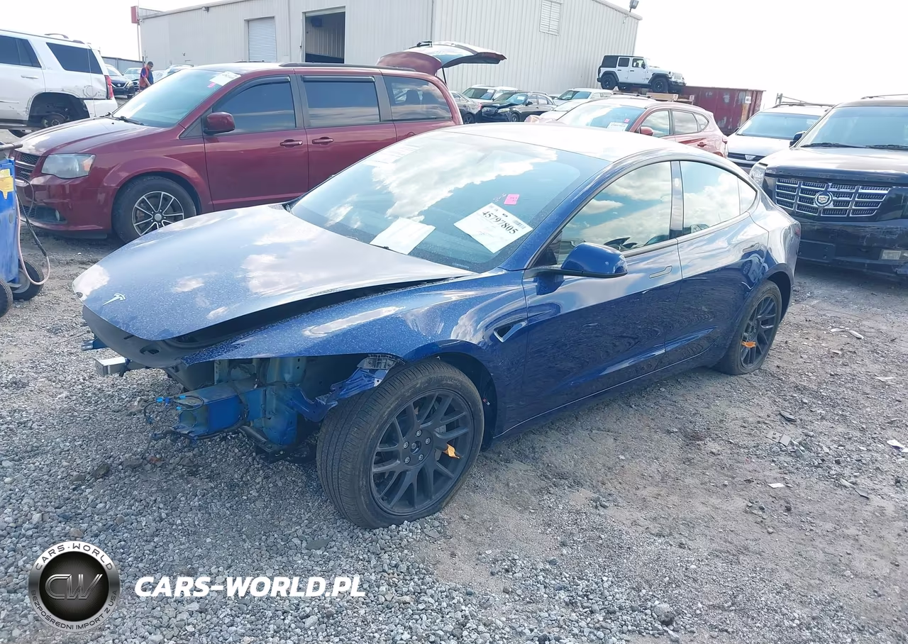 2024 Tesla Model 3 Long Range Dual Motor All-Wheel Drive VIN:5YJ3E1EB6RF790448 - 2