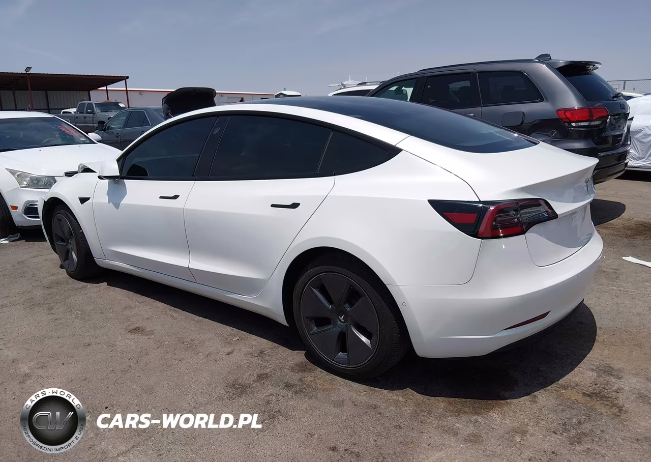 2022 Tesla Model 3 Rear-Wheel Drive VIN:5YJ3E1EA0NF111744 - 12