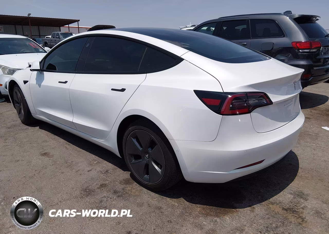 2022 Tesla Model 3 Rear-Wheel Drive VIN:5YJ3E1EA0NF111744 - 3