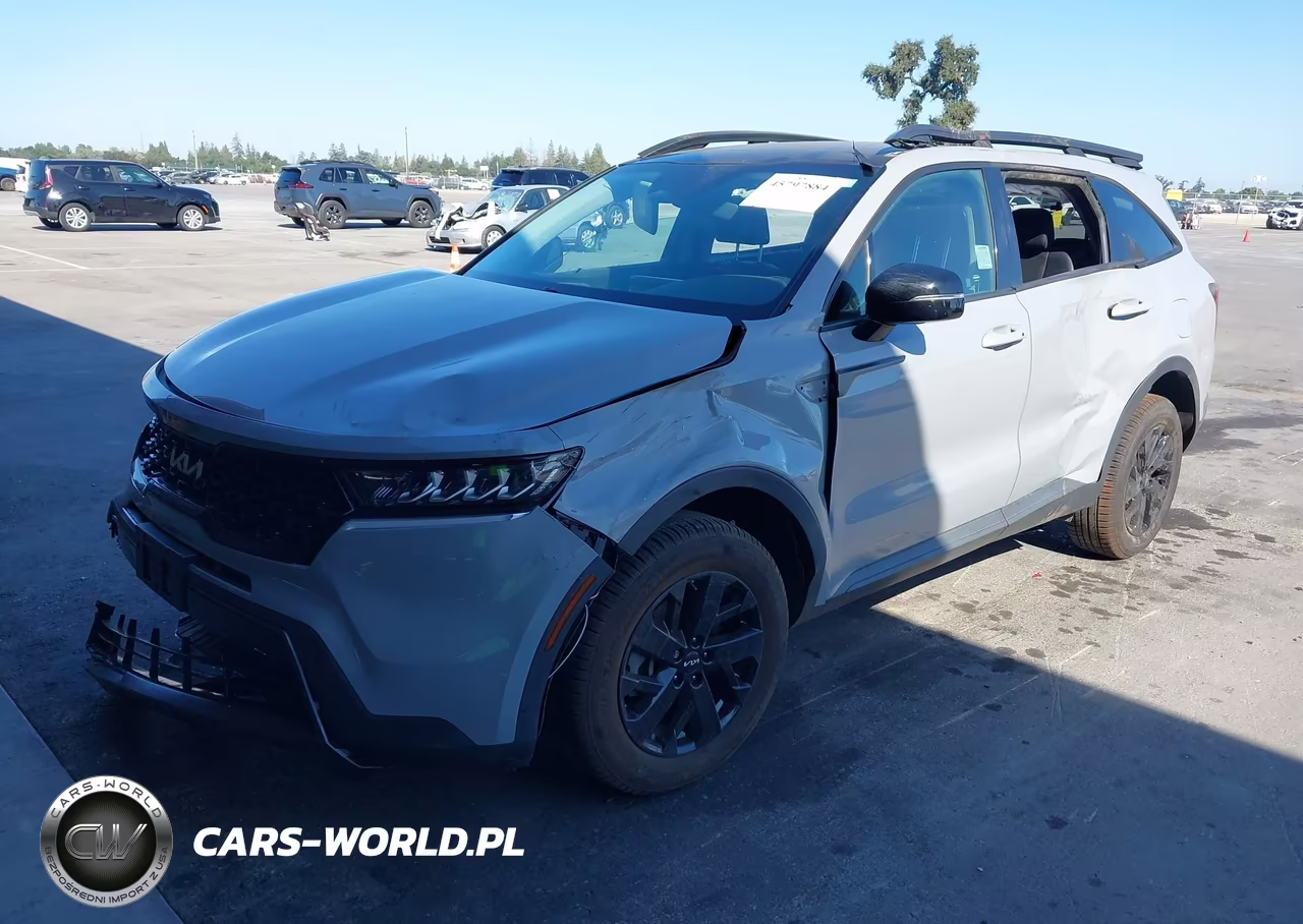 2022 Kia Sorento X-Line S VIN:5XYRLDLC6NG140793 - 2